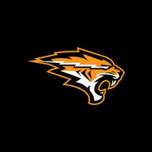 Tiger Logo. Icon Vector.