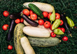 © Ekaterina - Vegetarian food, vegan. A lot of different colored freshly picked vegetables close-up. Green zucchini and cucumber, red tomatoes and blue eggplant. Sweet green and yellow bell pepper paprika.
