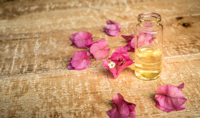 Close-up of essential oil in a small glass bottle with bougainvillea flowers on wooden background. Selective focus and copy space for text. Natural cosmetics.