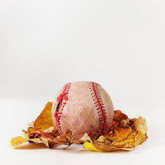 Poster - Old used baseball isolated on white background with autumn leaves for fall ball season concept.