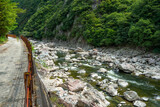 Fototapeta Pomosty - Hiking on a discontinued train-line along with Muko river in Hyogo prefecture in Japan