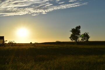 Poster - Sunset