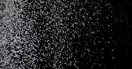 Wall Mural - white snowflakes falling in slow motion against an isolated black background.