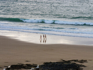 Poster - people walking on the sandy beach by the ocean