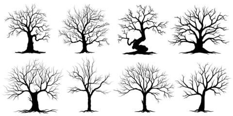 set of trees