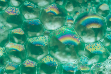Aufkleber - Close up Beautiful green abstract soap bubbles. Background pattern for design. Macro photography view.