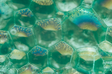 Aufkleber - Close up Beautiful green abstract soap bubbles. Background pattern for design. Macro photography view.