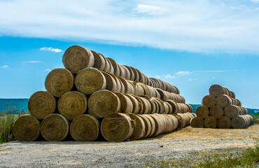 Closeup shot of two piles of hays in the field at daytime