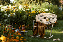 Stylish Composition Of Countryside Garden With Design Rattan Armchair, Wooden Bench, Plaid, Food, Drinks And Elegant Accessories. A Lot Of Colorful Flowers. Summer Mood.