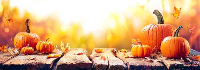 Pumpkins On Aged Plank At Sunset - Autumn And Harvest Table
