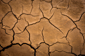 Wall Mural - dry cracked earth surface