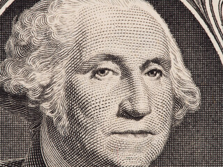 Wall Mural - George Washington portrait on the one dollar bill closeup macro