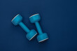 © splitov27 - Dumbbells on classic blue background. Healthy lifestyle, fitness training. Color 2020. Top view