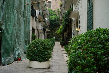 Streets, Macao, colorful doors and windows of traditional Macao houses