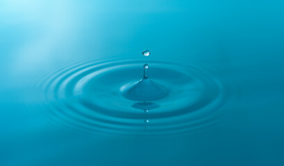 Wall Mural - Close-up blue water drops isolated on white background.