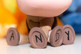 Toy Story Bullseye Andy Feet