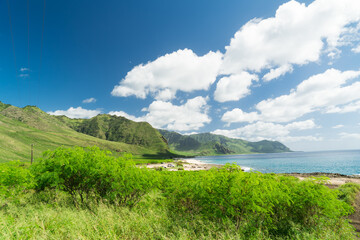 Wall Mural - Keawaula beach in west side of Oahu, Hawaii.