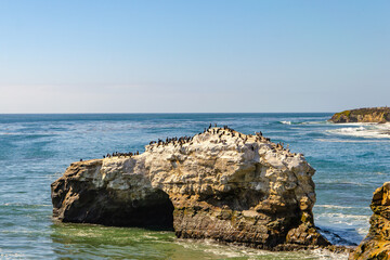 Canvas Print - Natural Bridges State Beach, Santa Cruz