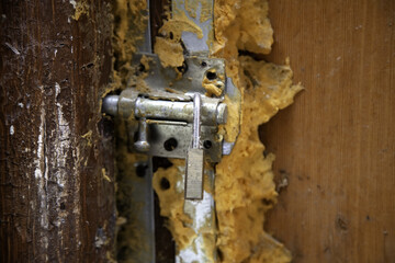 Wall Mural - Door lock and bolt