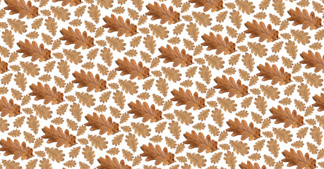 Canvas Print - Pattern old dry yellow autumn oak leaves on a white background.