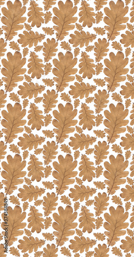 Pattern old dry yellow autumn oak leaves on a white background.