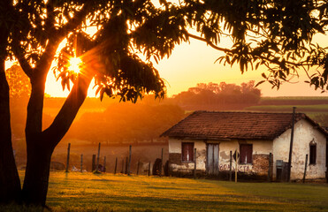 Wall Mural - pôr-do-sol com árvore, casa velha na fazenda com e gramado verde