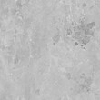 Creature skin Roughness map texture, grunge map, imperfection texture, grayscale texture