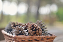 Wicker Basket With Pine Cones Outdoors With Copy Space.