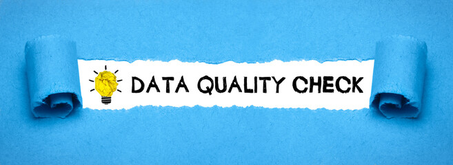 Wall Mural - Data Quality Check