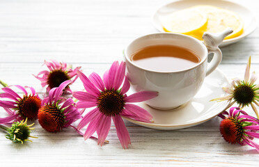 Wall Mural - Echinacea tea with lemon and fresh flowers.