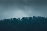 Fototapeta Na ścianę - Mountain pine tree silhouettes in the fog of the clouds in the alpine mountains. Austrian Alps, Salzkammergut in Austria, Europe