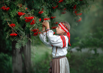 Wall Mural - Portrait of a beautiful young girl in folk dress near a Rowan tree. Cute girl gathers bunches of mountain ash. A child in a traditional dress.