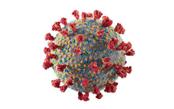 Wall Mural -  - Coronavirus Covid-19. Scientifically accurate illustration of Covid corona virus cell.