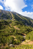 Fototapeta Natura - Beautiful authentic rocky landscape of the Pyrenees. Bulgaria. Natural mountain landscape as background.
