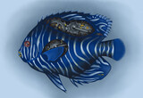 Niebieska ryba, w paski, tropikalna, mechaniczna, inspirowana, Karol Linneusz, encyklopedia, fantasy, science fiction,  fantastyka,  postindustrialny, zwierzę, rafa koralowa, 