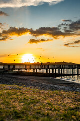 Wall Mural - Woman on a pier at sunset