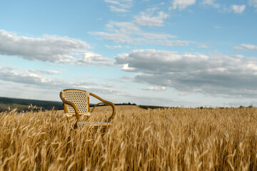 vintage chair in the middle of wheat field