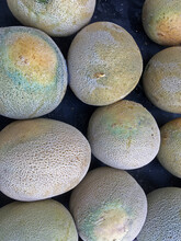 Fresh Organic Cantaloupes Displayed For Sale At A Farm Market Stand