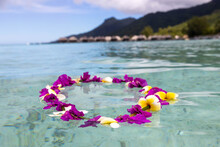 Colorful Flower Lei Floats In Turquoise Water On An Exotic Tropical Island