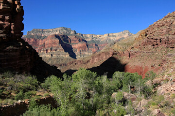 Wall Mural - View of canyon walls from Upper Tapeats Campground in Grand Canyon National Park, Arizona on clear summer morning.