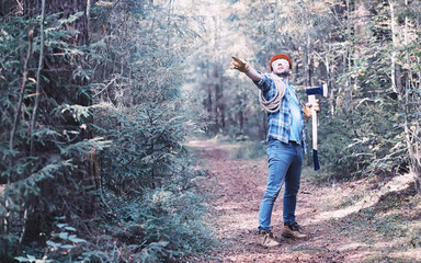 Poster - Male lumberjack in the forest. A professional woodcutter inspects trees for felling.