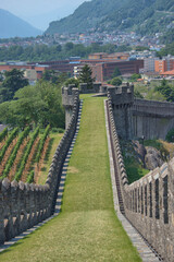 Wall Mural - Castlegrande in Bellinzona in der Schweiz 30.7.2020