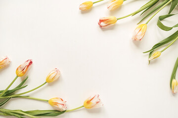 Wall Mural - Border frame made of yellow tulip flowers on white background. Flat lay, top view festive holiday celebration. Copy space mockup