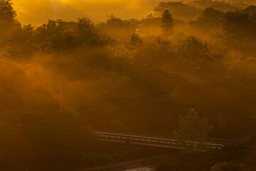 Wall Mural - Sunlight in the morning time 