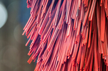 Wall Mural - Red plastic brush in a car wash