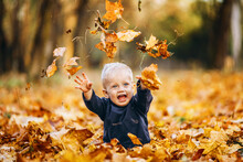 Little Cute Baby Boy Have Fun Outdoors In The Park In Autumn Time.