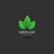 leaf eco green logo design concept template