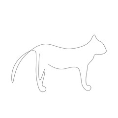 Wall Mural - Cat animal on white background silhouette. Vector illustration