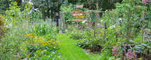 Barneveld, Netherlands- August 23, 2020: Cozy Little Garden With Vegetables, Colorful Flowers,all Kinds Of Decorations And Signs With DUtch Text