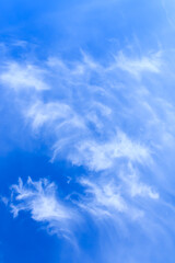 Wall Mural - vertical photo of blue sky